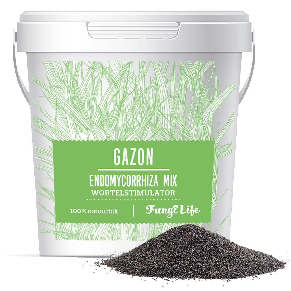 mycorrhiza gazon